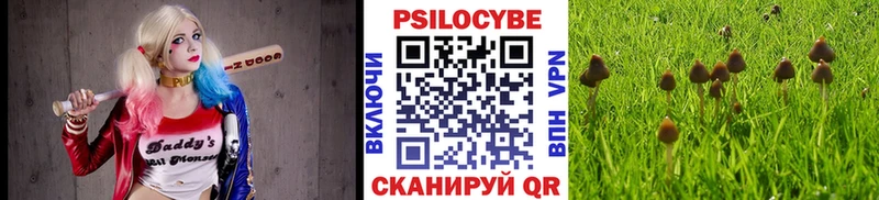 Псилоцибиновые грибы Magic Shrooms  даркнет формула  Разумное 